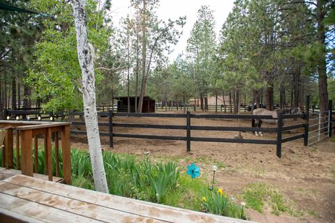14626 Bluegrass Loop, Sisters, OR 97759 photo 5