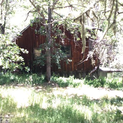 420 L Fork Humbug Creek Rd, Applegate, OR 97530 photo 35