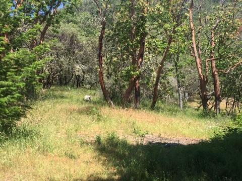 420 L Fork Humbug Creek Rd, Applegate, OR 97530 photo 33