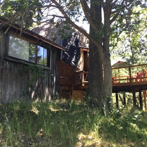420 L Fork Humbug Creek Rd, Applegate, OR 97530 photo 8