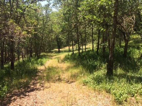 420 L Fork Humbug Creek Rd, Applegate, OR 97530 photo 32