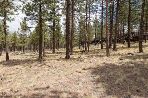 62826 Imbler Dr, Bend, OR 97703 photo 10