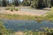 537 E Forks Cir, Cave Junction, OR 97523 photo 11