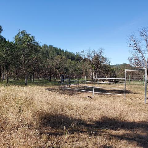 2443 Worthington Rd, Eagle Point, OR 97524 photo 2