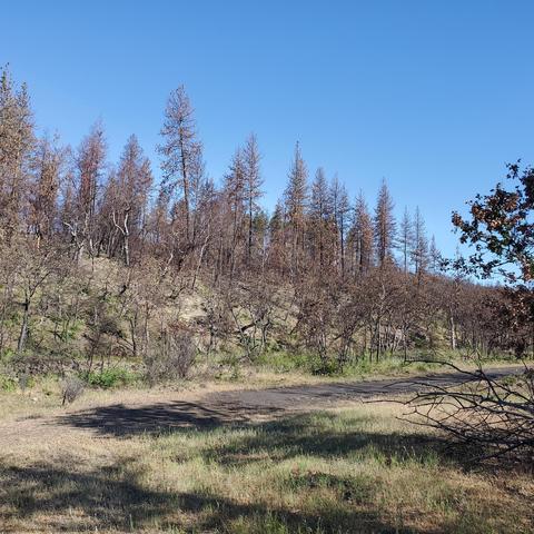 2443 Worthington Rd, Eagle Point, OR 97524 photo 5