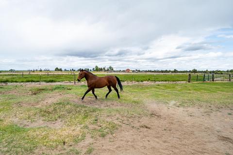 63520 Johnson Ranch Rd, Bend, OR 97701 photo 29