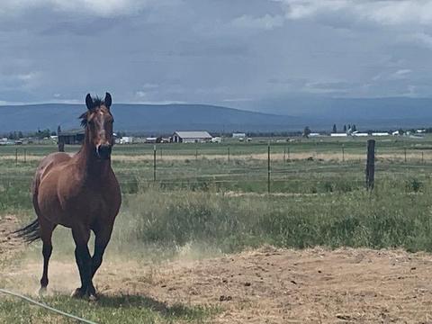 63520 Johnson Ranch Rd, Bend, OR 97701 photo 3