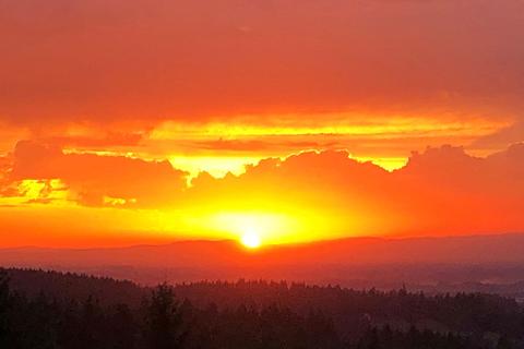 14545 S Leabo Rd, Molalla, OR 97038 photo 2