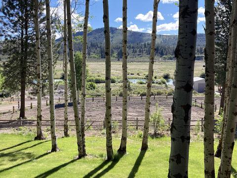 41181 Pine Ridge Loop, Chiloquin, OR 97624 photo 5