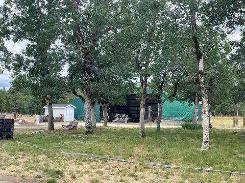 11740 Meadows Rd, Central Point, OR 97502 photo 4