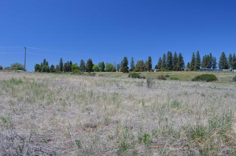 2000 Fred Pl, Chiloquin, OR 97624