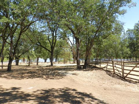11794 Dixie Rd, Central Point, OR 97502 photo 18