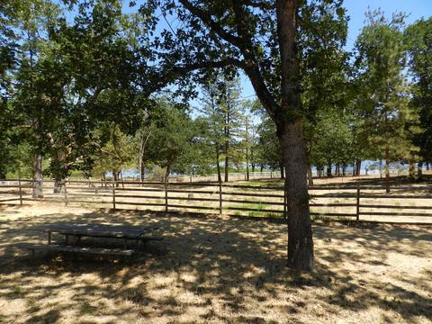 11794 Dixie Rd, Central Point, OR 97502 photo 29