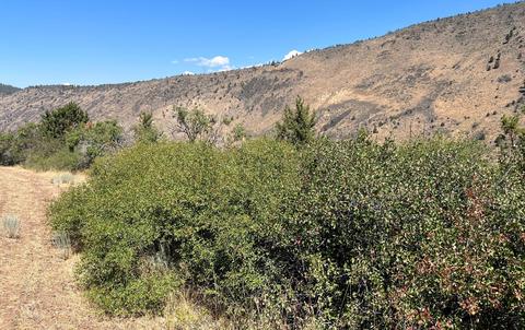 lot40 Peregrine Hts, Klamath Falls, OR 97601
