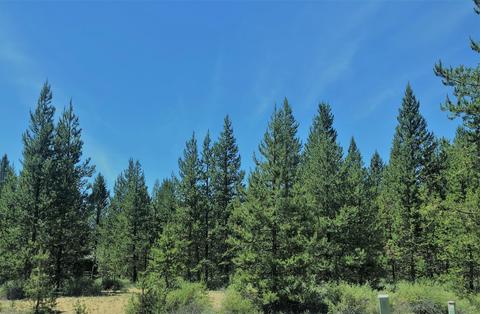 16515 Sprague Loop, La Pine, OR 97739 photo 1
