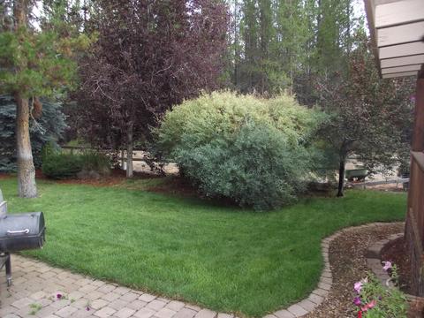 50975 Pierce Rd, La Pine, OR 97739 photo 13