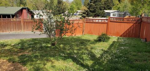 142 Gaddis Ln, Glendale, OR 97442 photo 21