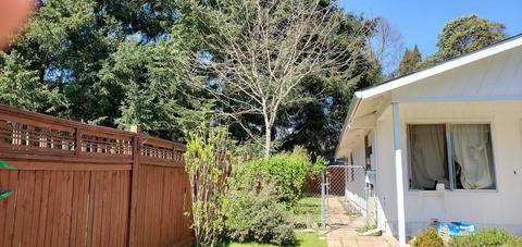 142 Gaddis Ln, Glendale, OR 97442 photo 17