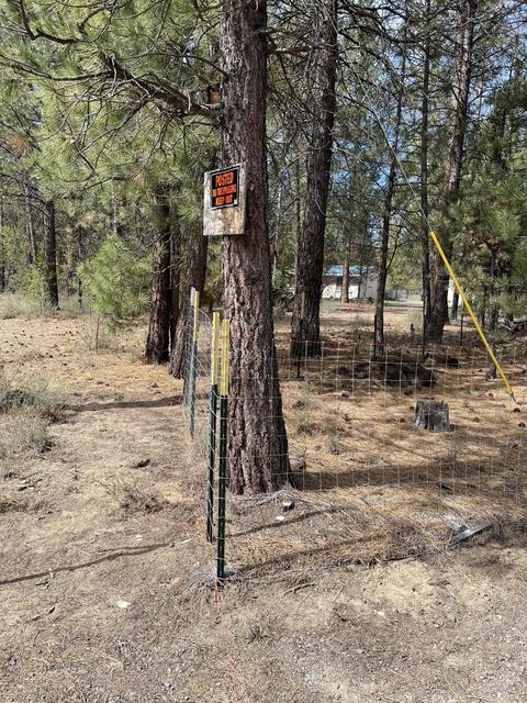 50850 Doe Loop, La Pine, OR 97739 photo 2