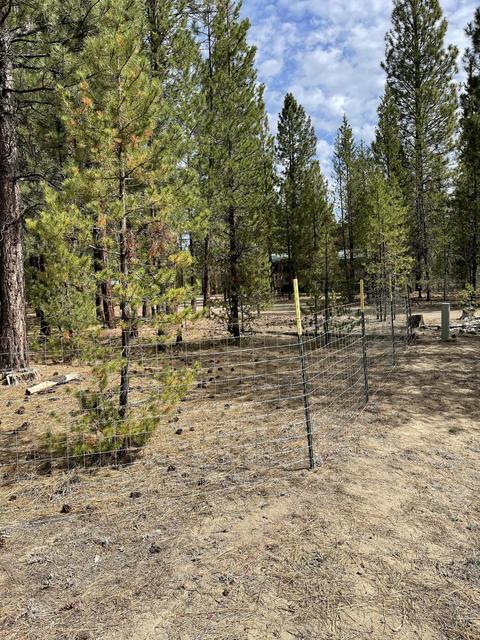 50850 Doe Loop, La Pine, OR 97739 photo 3
