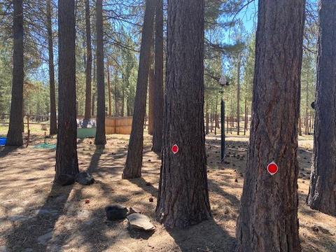 15356 Bear St, La Pine, OR 97739 photo 11