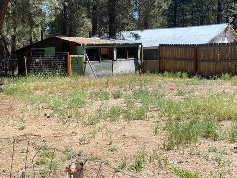 15356 Bear St, La Pine, OR 97739 photo 9