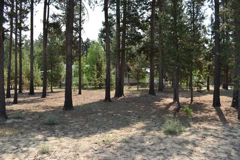 148507 Mabel Dr, La Pine, OR 97739 photo 43