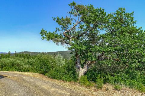 3926 E Antelope Rd, Eagle Point, OR 97524 photo 14