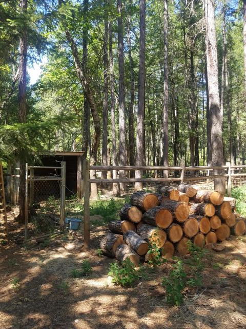 360 Falling Leaf Dr, Selma, OR 97538 photo 8