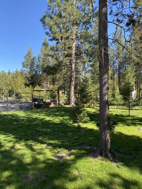 137012 Mohawk Dr, Crescent, OR 97733 photo 43