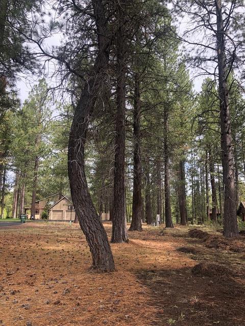 17016 Cooper Dr, Bend, OR 97707 photo 12
