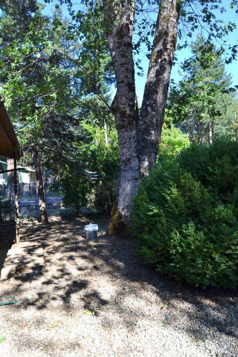 531 W River St, Cave Junction, OR 97523 photo 19