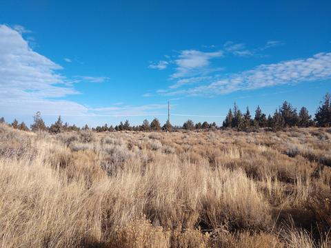 21420 Highway 20, Bend, OR 97701 photo 3