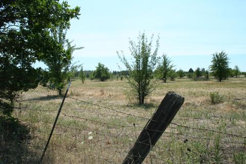 1213 Stevens Rd, Eagle Point, OR 97524 photo 5