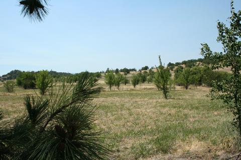 1213 Stevens Rd, Eagle Point, OR 97524 photo 9