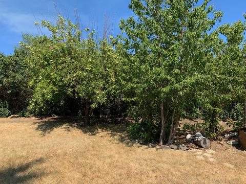 818 E Ridgeview Dr, Culver, OR 97734 photo 11