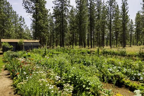 14631 Bluegrass Loop, Sisters, OR 97759 photo 17