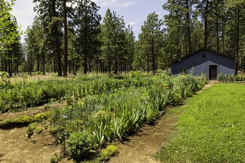 14631 Bluegrass Loop, Sisters, OR 97759 photo 15