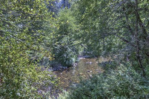 115 Obrien Rd, Cave Junction, OR 97523 photo 39
