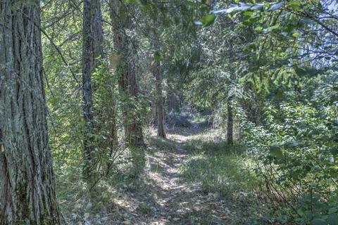 115 Obrien Rd, Cave Junction, OR 97523 photo 38