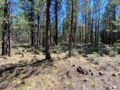 16917 Jacinto Rd, Bend, OR 97707 photo 5
