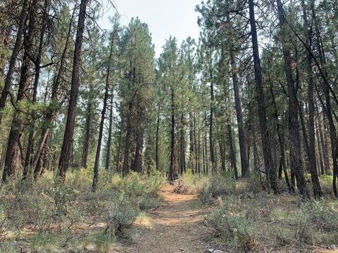 16917 Jacinto Rd, Bend, OR 97707 photo 33