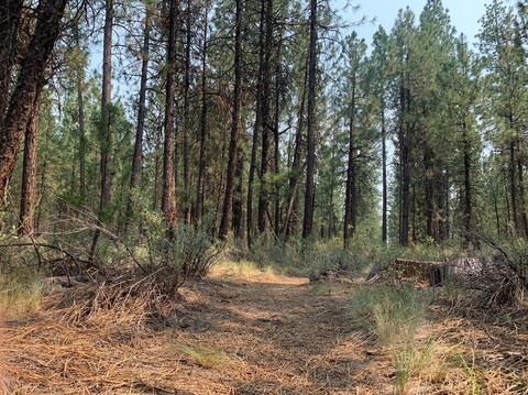 16917 Jacinto Rd, Bend, OR 97707 photo 28