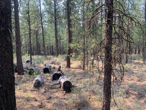 16917 Jacinto Rd, Bend, OR 97707 photo 9