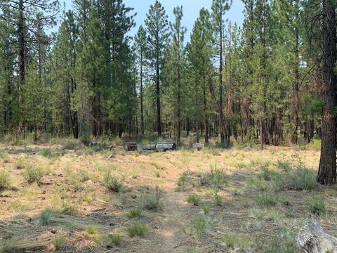 16917 Jacinto Rd, Bend, OR 97707 photo 14