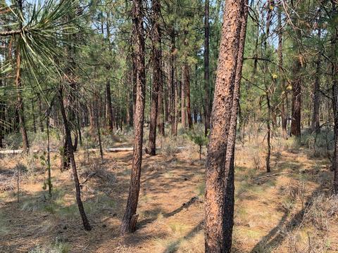 16917 Jacinto Rd, Bend, OR 97707 photo 21