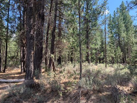 16917 Jacinto Rd, Bend, OR 97707 photo 2