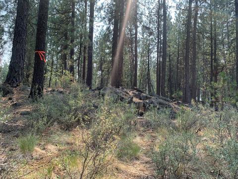 16917 Jacinto Rd, Bend, OR 97707 photo 34