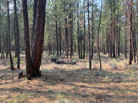 16917 Jacinto Rd, Bend, OR 97707 photo 11