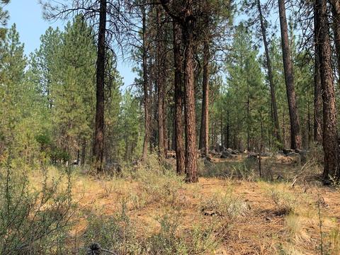 16917 Jacinto Rd, Bend, OR 97707 photo 31